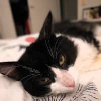 Photo of Dudley Kumara