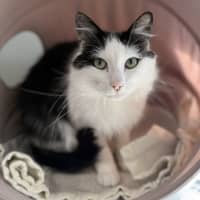 Photo of Saskia