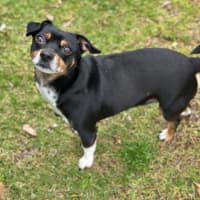 Photo of Mako & Buddy 