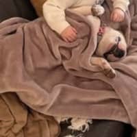 Photo of Heidi