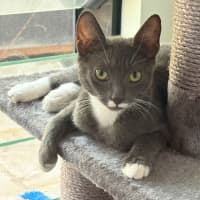 Photo of Lilly