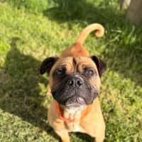 Photo of Leroy