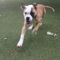 Photo of Betty