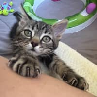 Photo of Horizon Aka "Have A Chat"