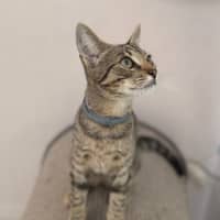 Photo of Wally (8983)