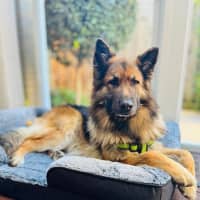 Photo of Duke