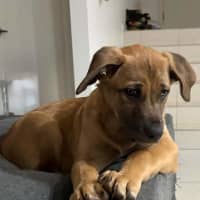 Photo of Tango