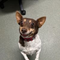 Photo of Buggerluggs