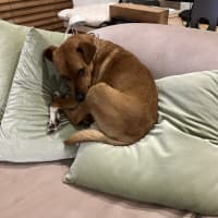 Photo of Diggie Smalls