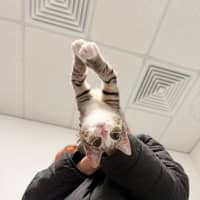 Photo of Frieren (Was Jovie)