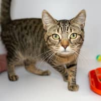 Photo of Clawde Monet