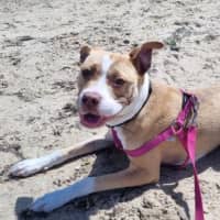 Photo of Ellie Valenti