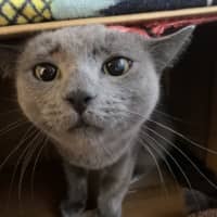 Photo of Paulie