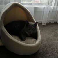 Photo of Mishka