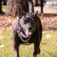 Photo of Basil Moriarty