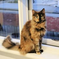 Photo of 🔮Pandora🔮