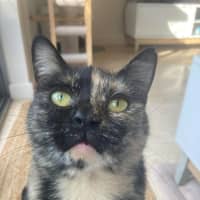 Photo of Chirp Side Park Shopping Centre