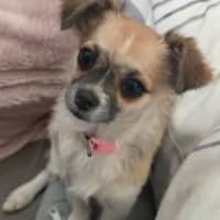 Photo of Sasha