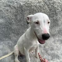 Photo of Lumi