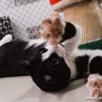 Photo of Jasper Picton