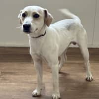 Photo of Cj (Captain Jack)