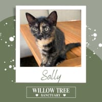 Photo of Sally
