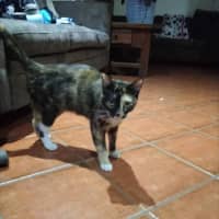 Photo of Mumma Patti 