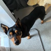 Photo of Ponzi