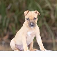 Photo of Winnie