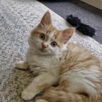 Photo of Oliver 😻🧵🧶