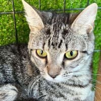 Photo of Milly