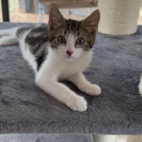 Photo of Hamish