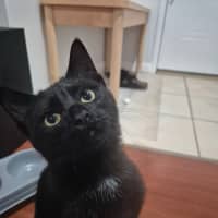 Photo of Luna U2026108