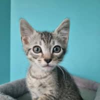 Photo of Calvin