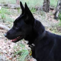 Photo of Sally