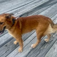 Photo of Krypto