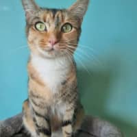 Photo of Estora 