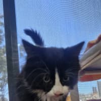 Photo of New Approach