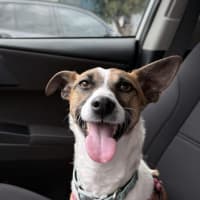 Photo of Lillie Uffelman