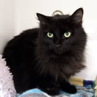 Photo of Nacho Sua014135