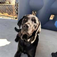 Photo of Storm