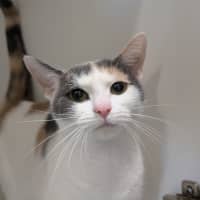 Photo of Eowyn