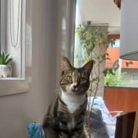 Photo of Usha