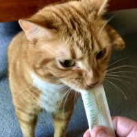 Photo of Leyton & Dakota 🐈‍⬛🌺