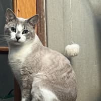 Photo of Ghosty