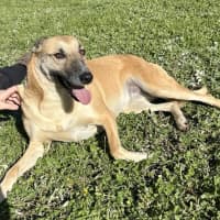 Photo of Zena