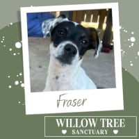 Photo of Fraser