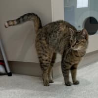 Photo of Sally Field (9004)