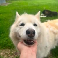 Photo of Kiara And Komet