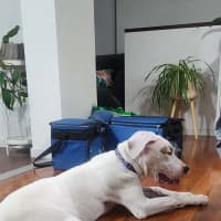 Photo of Ellie